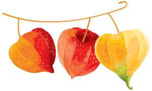 paper fruits